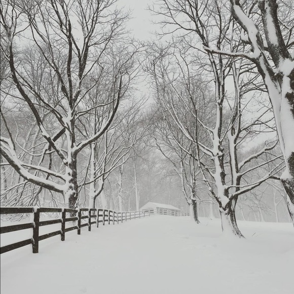 Meet your Posher, Lindsay - Picture 1 of 1